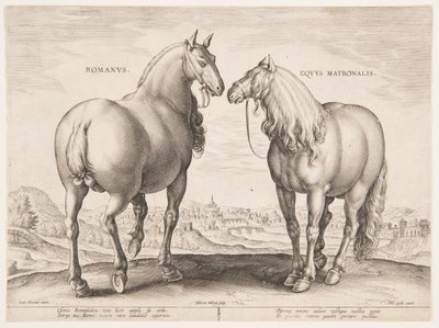 Římský kůň z prvního souboru "Equile Joannis Austriaci" od Jan van der Straet, called Stradanus