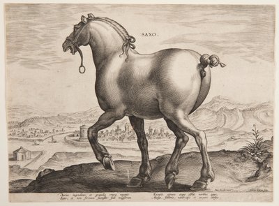 Saský kůň, z prvního souboru "Equile Joannis Austriaci" od Jan van der Straet, called Stradanus