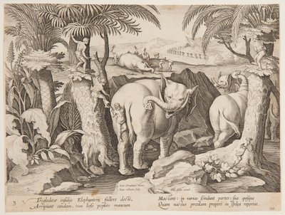 Cavemen Chasing Elephants, deska 3 ze série Lov divokých zvířat, ptáků a ryb od Jan van der Straet, called Stradanus