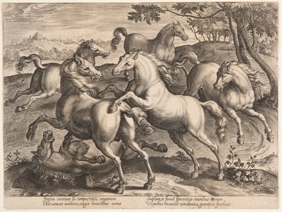 Bojoví koně, ze čtvrté sady "Equile Joannis Austriaci" od Jan van der Straet, called Stradanus
