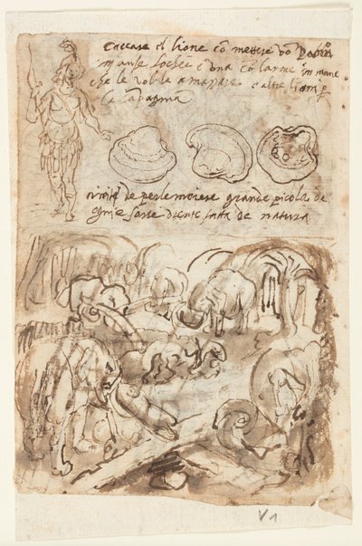 Recto, nahoře, stojící indiánská postava, ústřicové lastury. Recto, dole: Sloni si pomáhají z pasti, z Pliniovy přírodní historie, kniha 8, kap. 8; Verso, výše: Použití ohně k zabíjení vodních hadů v Indii; Verso níže: Had a anotace od Jan van der Straet, called Stradanus