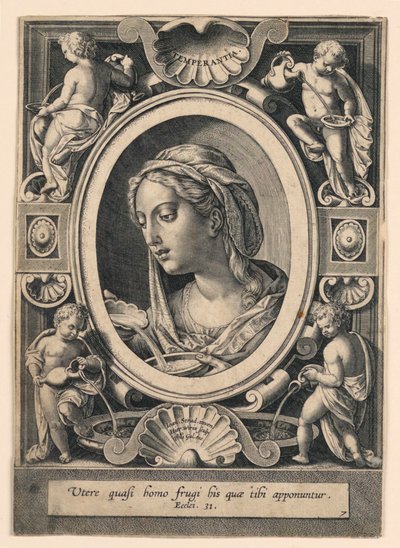 Temperance, deska 7 "VII Virtutim...Imagines" od Jan van der Straet, called Stradanus