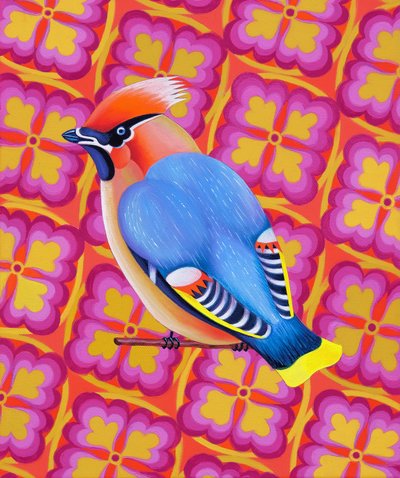 Waxwing, 2023 (olej na plátně) od Jane Tattersfield