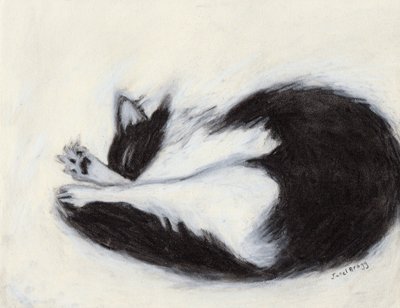 Thomas Taking a Naping, cca 2018 (uhel a pastel na papíře) od Janel Bragg