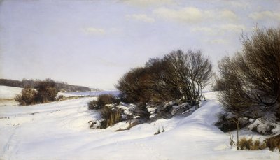 Zima u moře, 1888 od Janus La Cour
