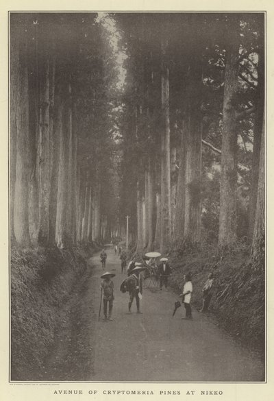 Avenue of Cryptomeria pines v Nikko od Japanese Photographer