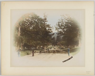 Kasuga, Nara, Japonsko (ručně kolorovaná černobílá fotografie) od Japanese Photographer