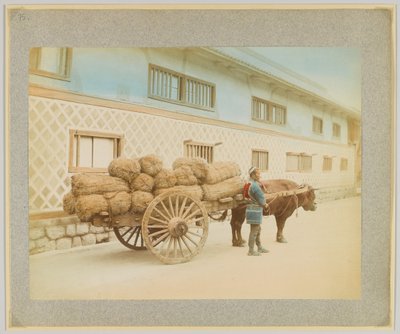 Muž s volem a povozem, Japonsko (ručně kolorovaná černobílá fotografie) od Japanese Photographer