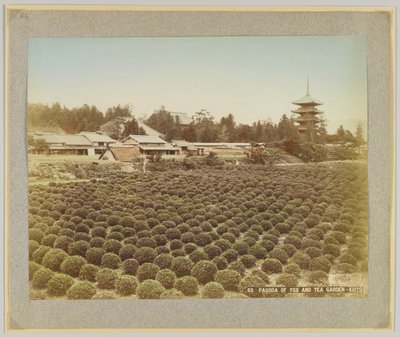 Pagoda Toji a čajová zahrada, Kyoto, Japonsko (ručně kolorovaná černobílá fotografie) od Japanese Photographer
