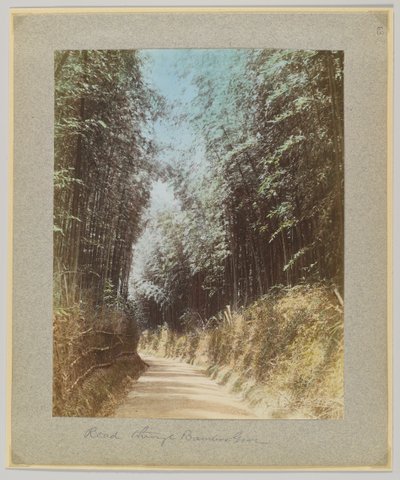 Cesta přes bambusový háj, Japonsko (ručně kolorovaná černobílá fotografie) od Japanese Photographer