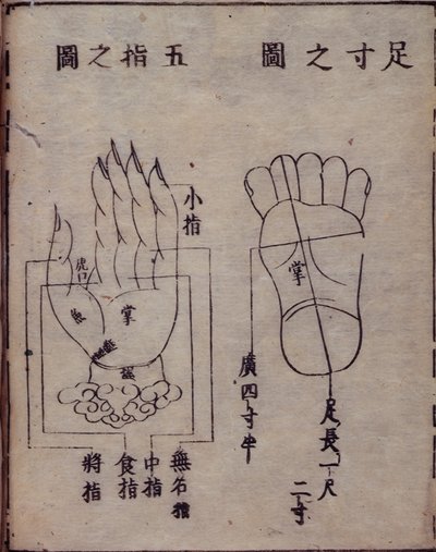 16029.b.5 fol.15v Diagram znázorňující akupunkturní body na rukou a nohou, z japonského komentáře k čínské práci o akupunktuře, Shisijing fahui z roku 1341 od Hua Shou, Kyoto od Japanese School