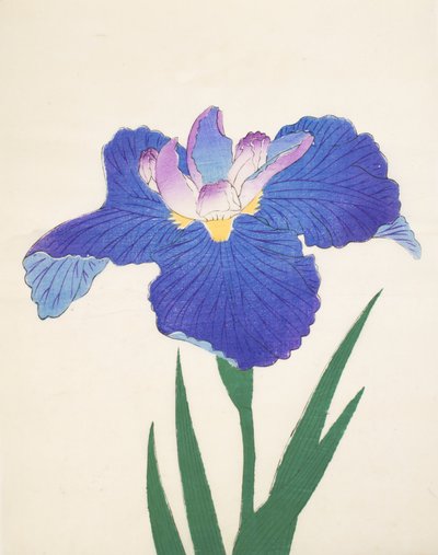 Modrý typ E. 30, 1898 od Japanese School