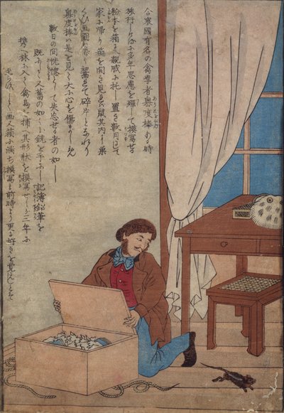 Audubon otevírá svou krabici akvarelů zničených norskými krysami, kolem roku 1872-77 od Japanese School