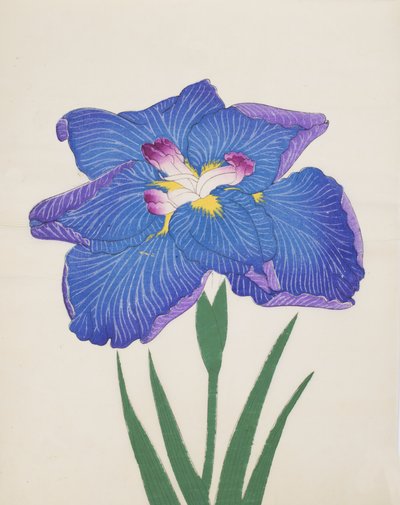 Azumabotan, č. 89, 1890 (barevný dřevotisk) od Japanese School