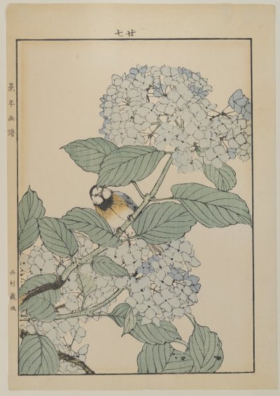 Pták s hortenzií, období Meiji, cca 1868-1912 (barevný dřevotisk) od Japanese School