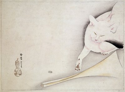 Kočka, japonská kresba, n.d. 19. století. od Japanese School