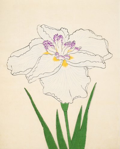 Cho-Hiyen, č. 91, 1890 (barevný dřevotisk) od Japanese School