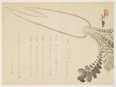 Daikon ředkev, leden 1864 (barevný dřevořez) od Japanese School