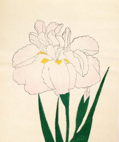 En-Yo-No-Ten, č. 73, 1890 (barevný dřevotisk) od Japanese School