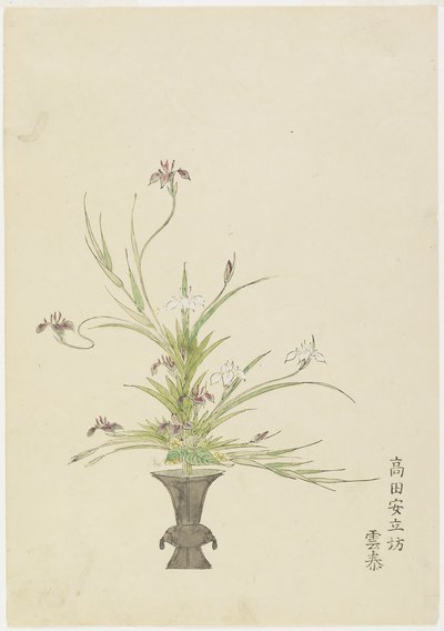 Aranžování květin od Takada Anritsub? Untai, Irises (ručně kolorovaný dřevotisk) od Japanese School