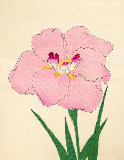 Gofukushoshu, č. 86, 1890 (barevný dřevotisk) od Japanese School