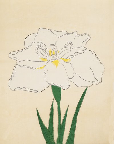 Haku-O-Den, č. 40, 1890 (barevný dřevotisk) od Japanese School