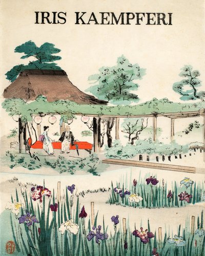 Iris Kaempferi - Přední strana obálky, 1890 od Japanese School