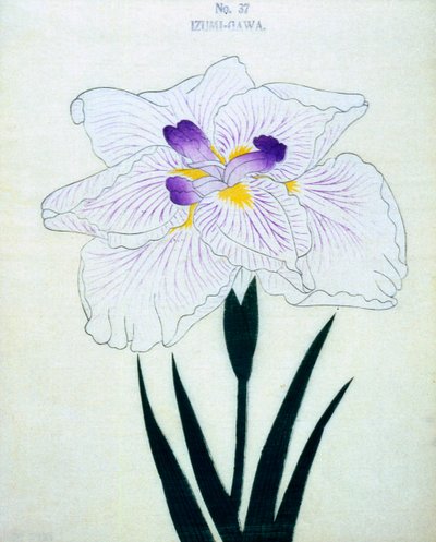 Na straně Izumi. 37, 1898 od Japanese School