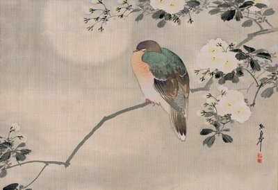 Japonská malba holuba na hedvábí od Japanese School