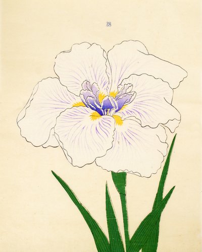 Manu-Zuru, No. 28, 1890 od Japanese School