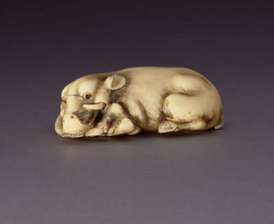 Netsuke zobrazující ležícího kance, c. 1750-80 (narwahl roh) (viz také 210190) od Japanese School