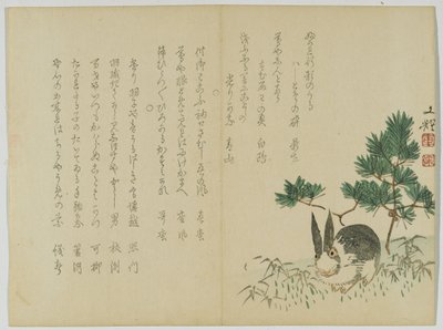 Rabbit under New Years Pine, cca 1860 (dřevotisk) od Japanese School