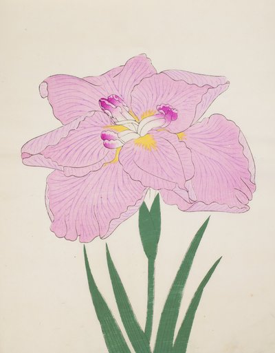 Shu-Fu-Raku, č. 58, 1890 (barevný dřevotisk) od Japanese School