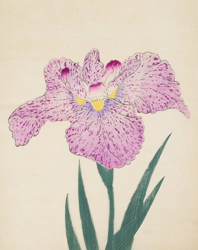 Tanka-No-Koe, č. 15, 1890 (barevný dřevotisk) od Japanese School