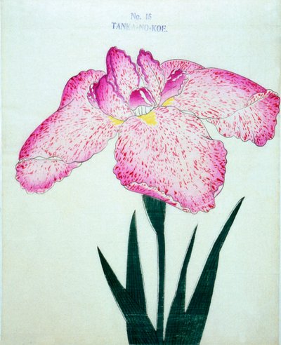 Z tankeru. -Mimo. 15, 1898 od Japanese School