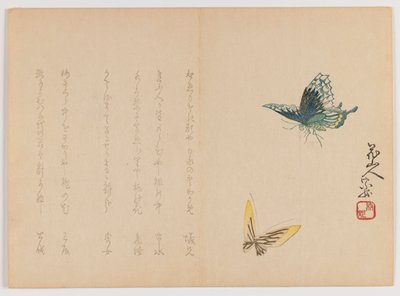 Two Butterflies, cca 1860 (dřevotisk, horizontální formát Chûban yoko-e) od Japanese School