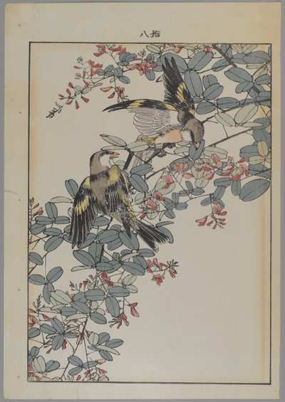 Dva ptáci s růžovými květy, období Meiji, cca 1868-1912 (barevný dřevotisk) od Japanese School
