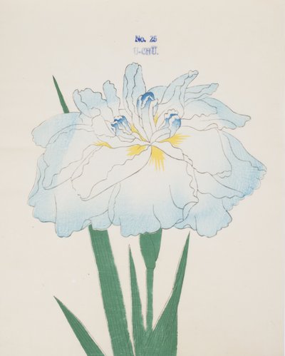 Hmmm, z. 25, 1898 od Japanese School