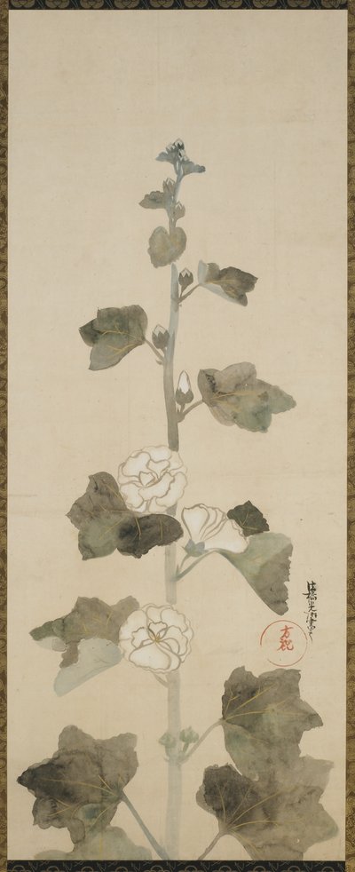 Bílé topolovky, období Edo, 1615-1868 (inkoust, odstín a zlato na papíře) od Japanese School