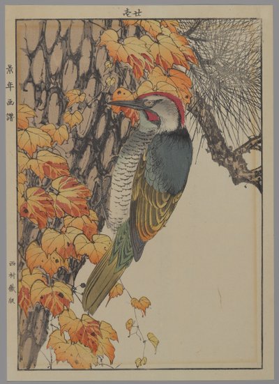 Datel, 1892 (barevný dřevotisk) od Japanese School