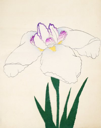 Ze Zamaru. -Les, z. 4, 1898 od Japanese School