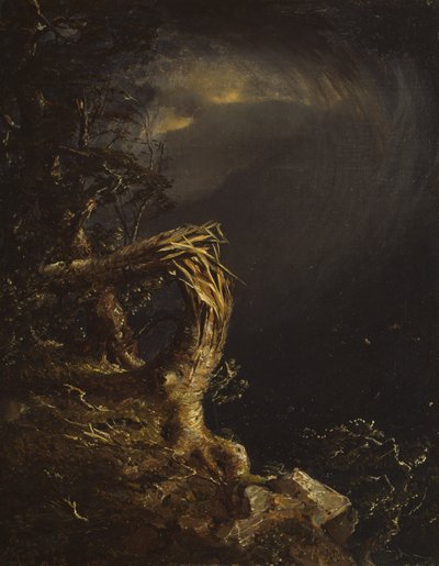 Odstřelený strom od Jasper Francis Cropsey