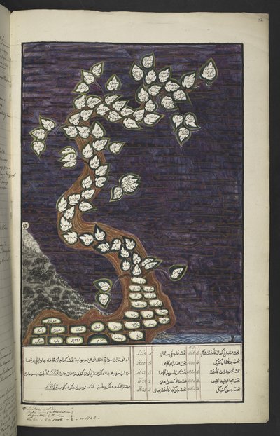 Nebo. 15932, f. 72r, Genealogická tabulka ve formě stromu vládců Jávy, od Adama po Pakuwana IV (ze Surakarty) a Mataram IV (Hamengkubuwana IV z Yogykarty), v jávském rukopisu Papakem Pawukon od Javanese School