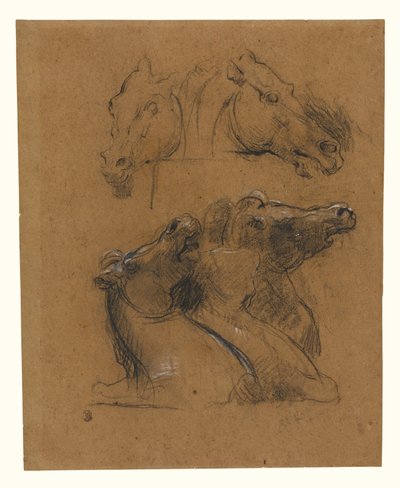 Studie koní (podle Elginových mramorů) od Jean-Baptiste Carpeaux