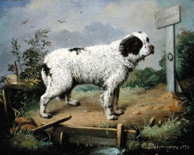 Newfoundland na nábřeží od Jean Baptiste Desgrange