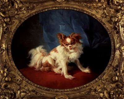 Le Petit Favori von Jean Baptiste Huet