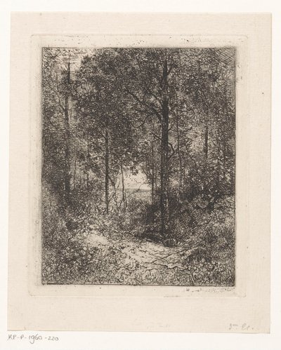 výhled na les od Jean Alexis Achard