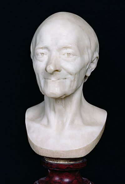 Busta Voltaira (1694-1778) bez paruky, 1778 (mramor) od Jean Antoine Houdon