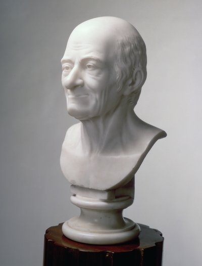 Busta Voltaira, kolem roku 1770 (mramor) od Jean Antoine Houdon