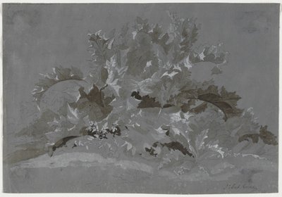 Studium plevelů od Jean Antoine Linck